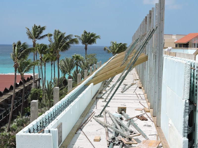 icf beach house with palm trees