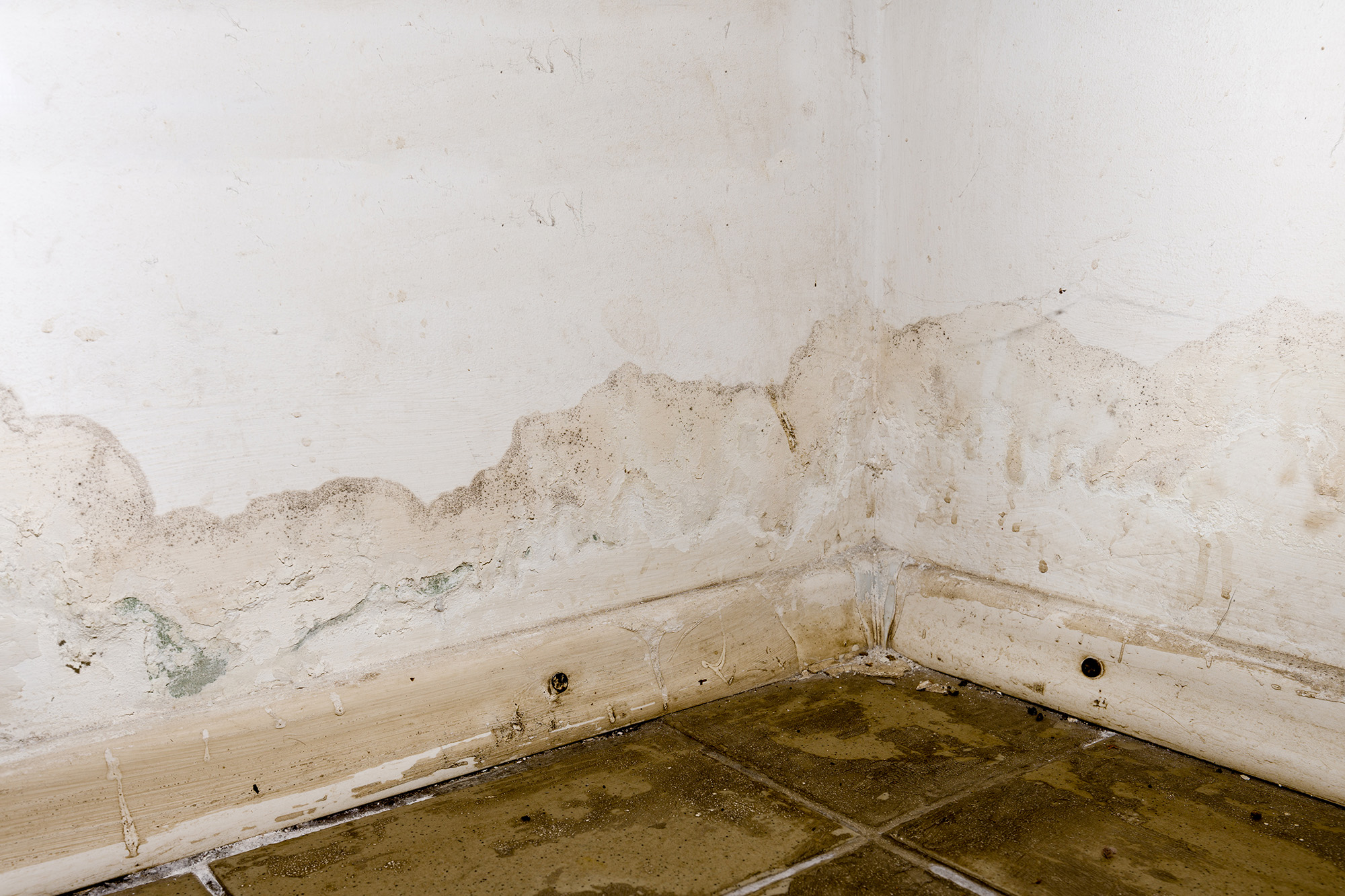 flooded basement with wet drywall